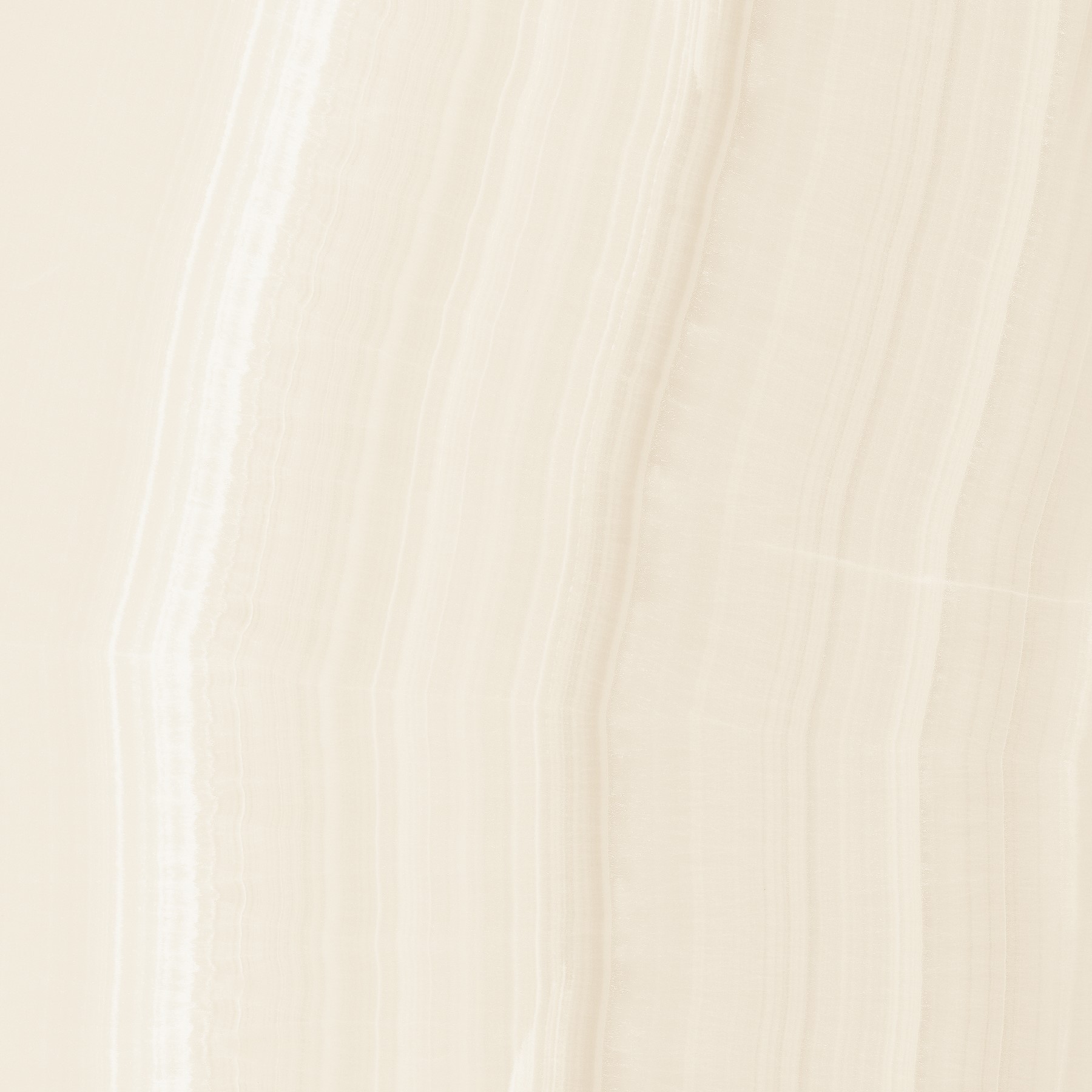 Oyster